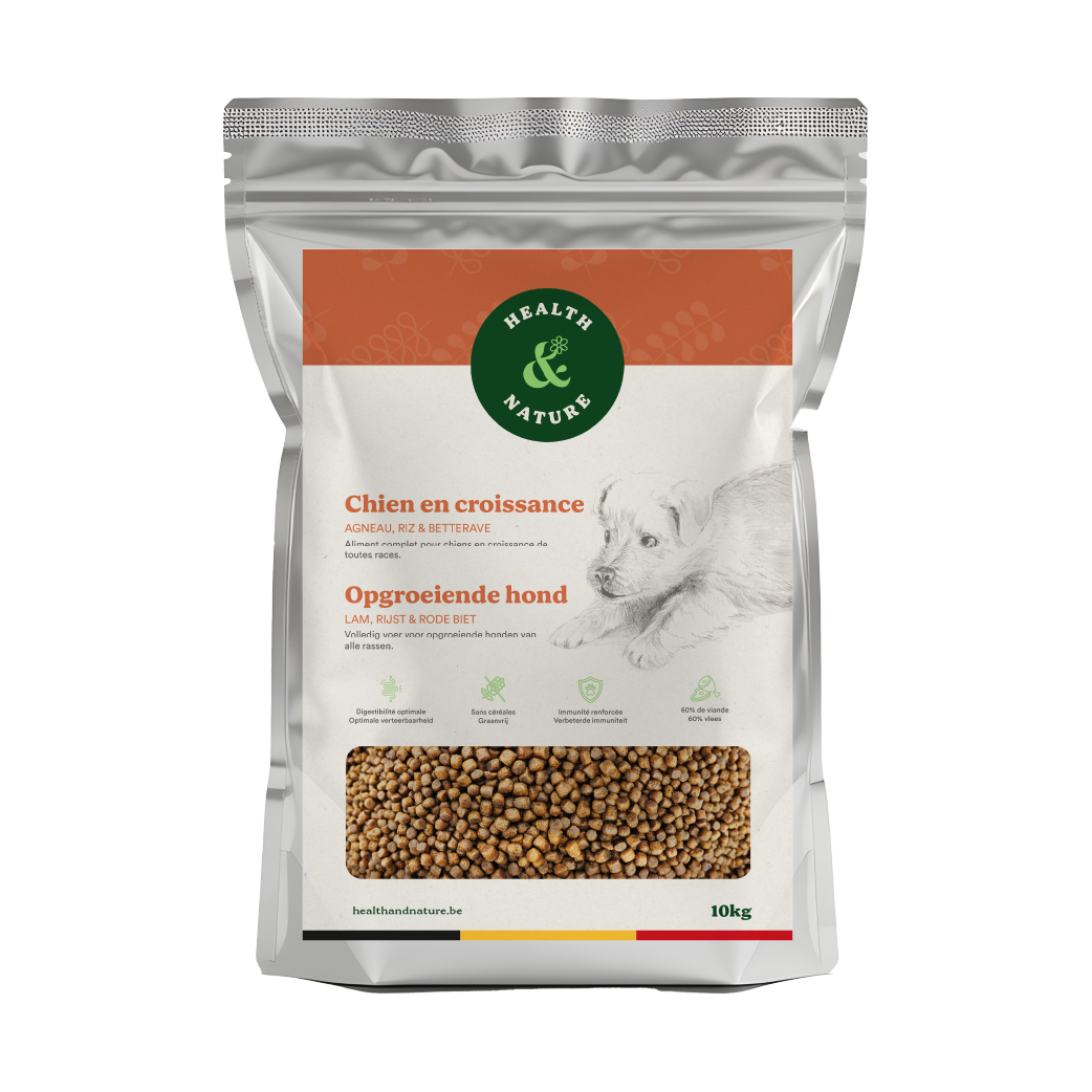 Croquettes Chien en Croissance 10kg
