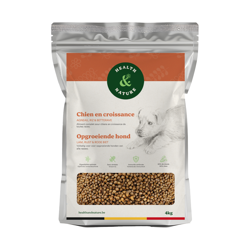 Croquettes Chien en Croissance 4kg