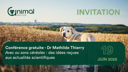 Formation gratuite - "Avec ou sans céréales ? Des idées reçues aux données scientifiques."
