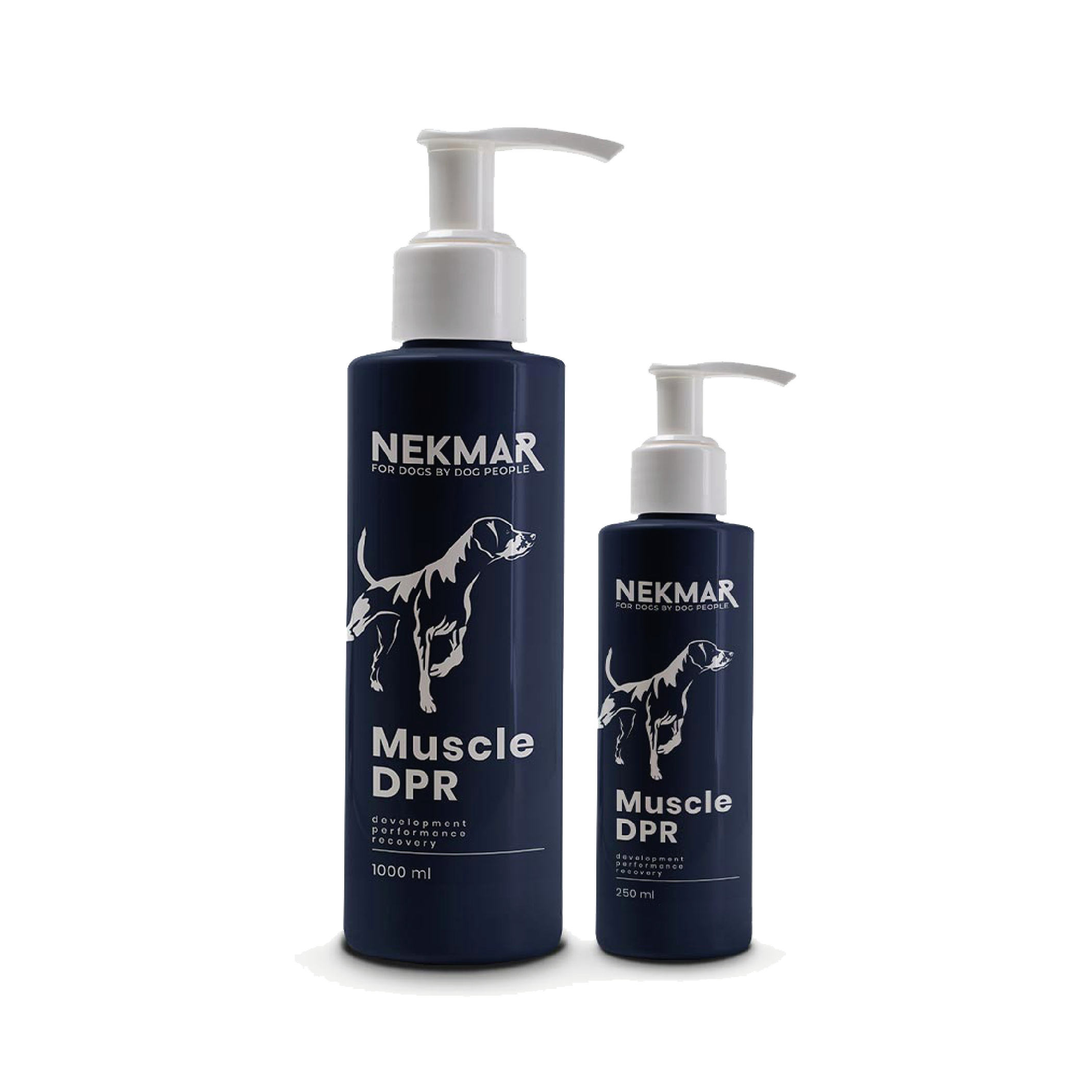 Huile Muscle DPR 1L