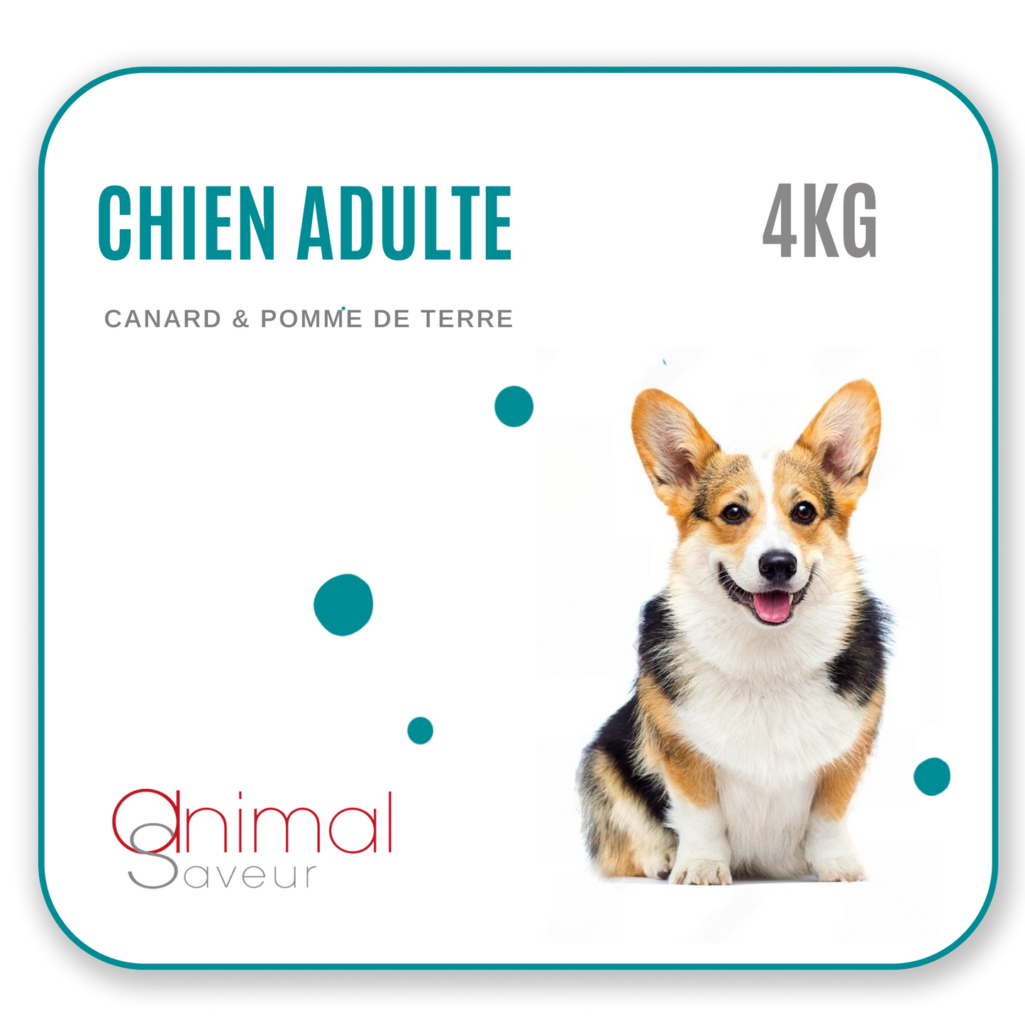 Croquettes Chien Adulte 4kg