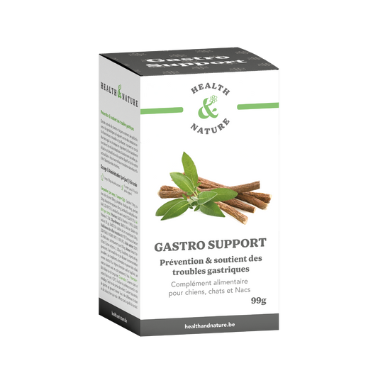 Gastro Support 60 tabletten