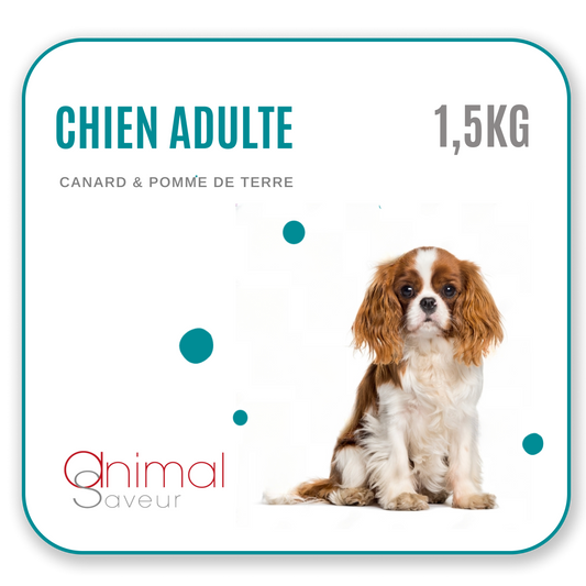 Croquettes Chien Adulte 1,5 kg - Canard / Pommes de Terre