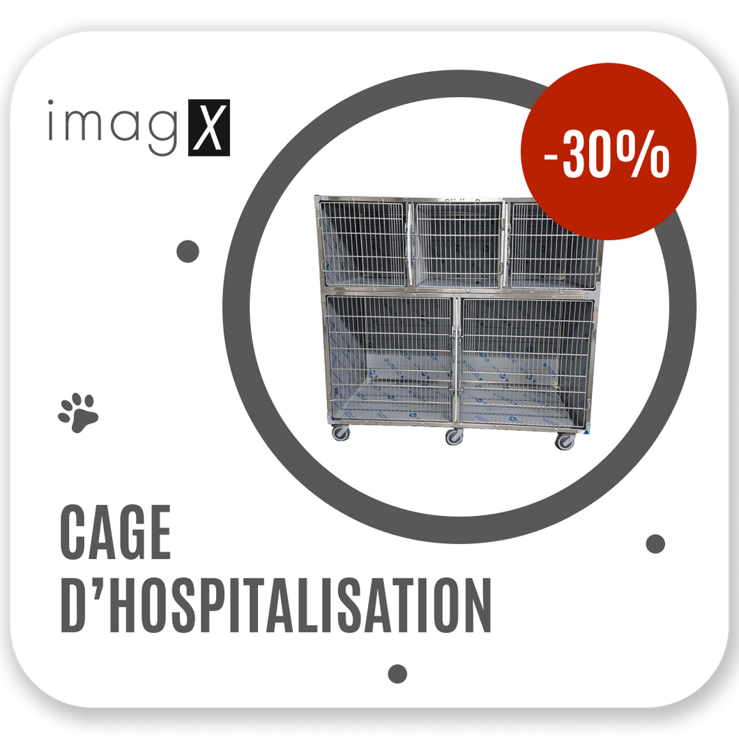 Cage d'hospitalisation en inox avec 5 compartiments et séparations amovibles