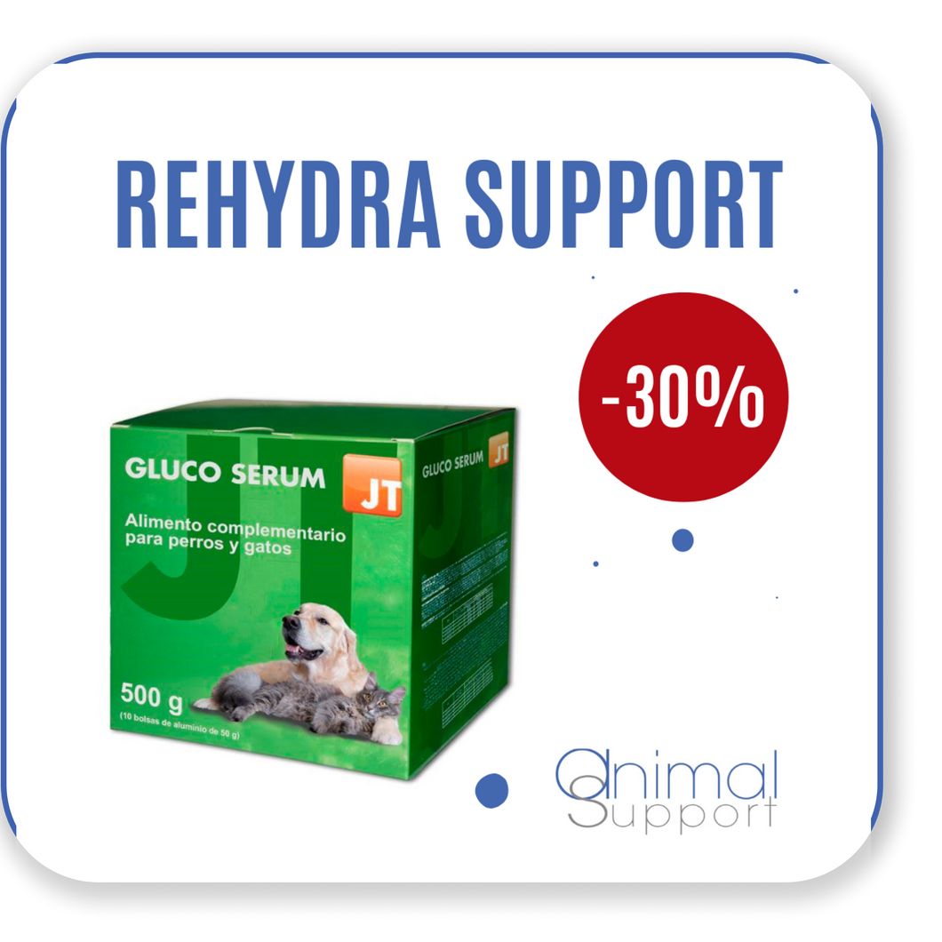 Rehydra Support 10x50 grammes