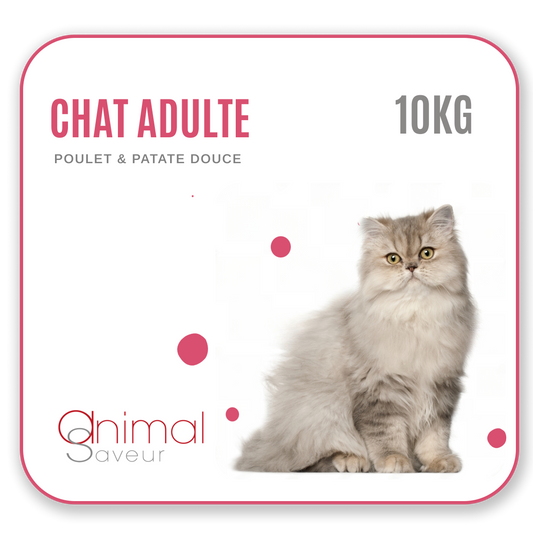 Croquettes Chat Adulte 10 kg - Poulet / Patate Douce