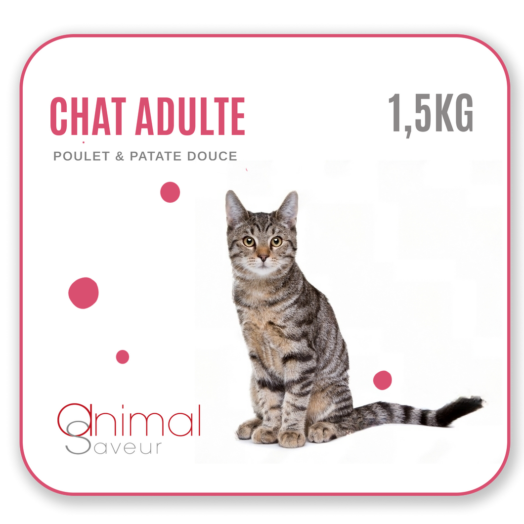 Croquettes Chat Adulte 1,5 kg - Poulet / Patate Douce