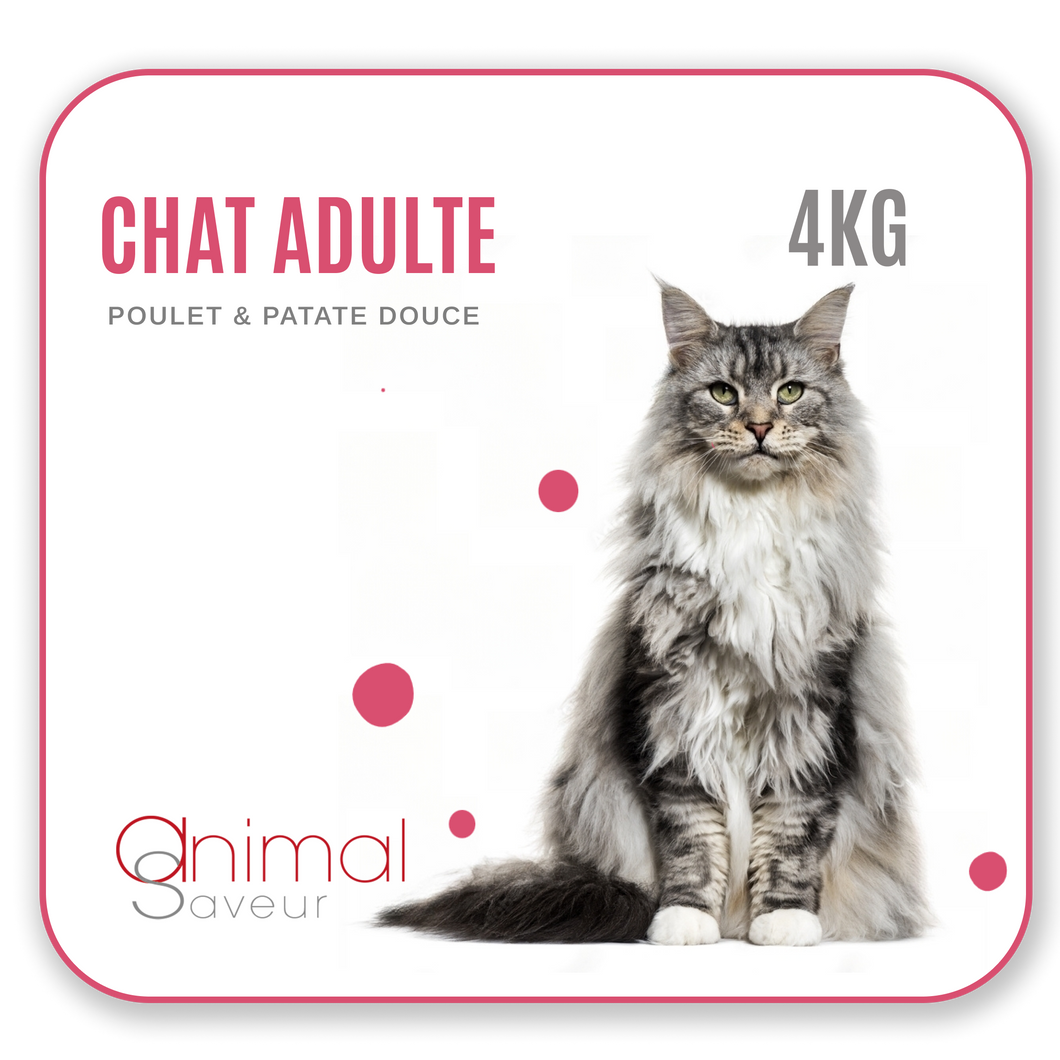 Croquettes Chat Adulte 4 kg - Poulet / Patate Douce