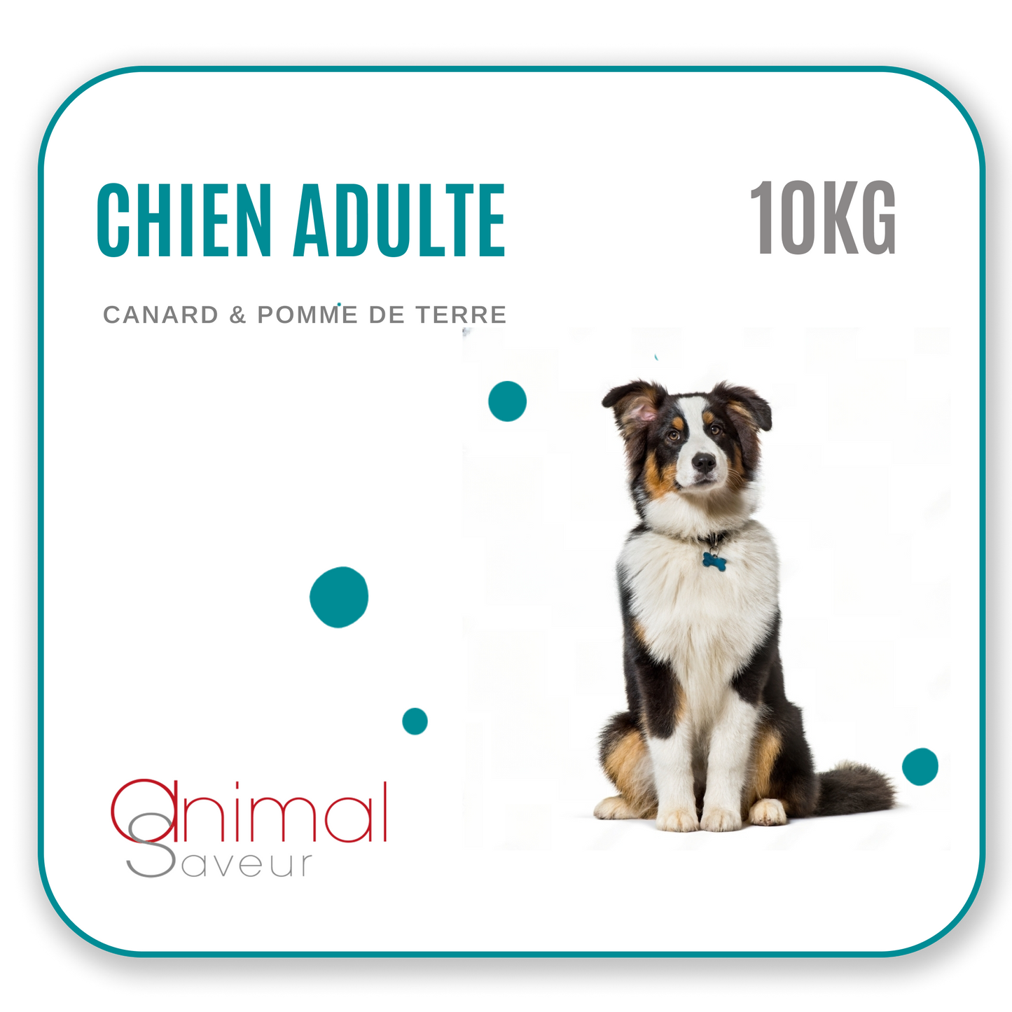 Croquettes Chien Adulte 10kg