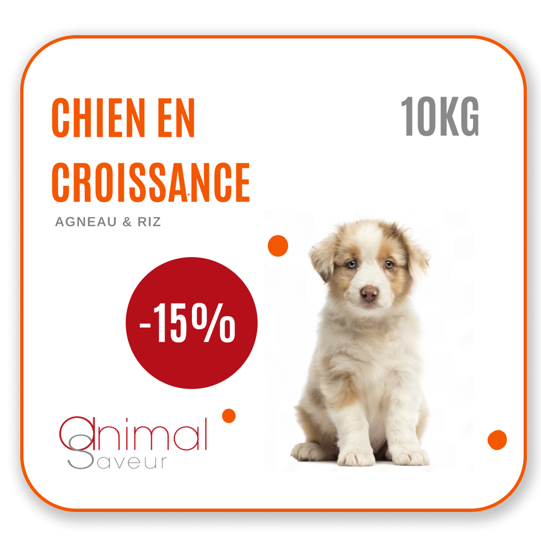 Croquettes Chien en Croissance 10 kg- Agneau / Riz | Promo -15%