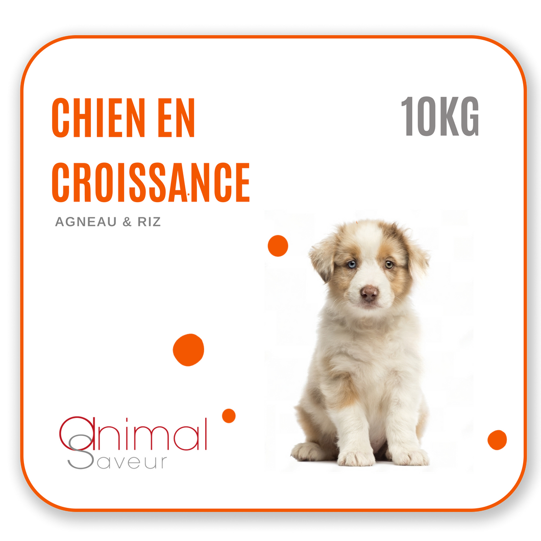 Croquettes Chien en Croissance 10 kg- Agneau / Riz