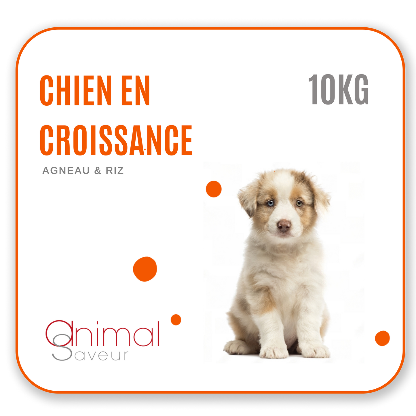 Hondenbrokken voor Groeiende Pups 10kg