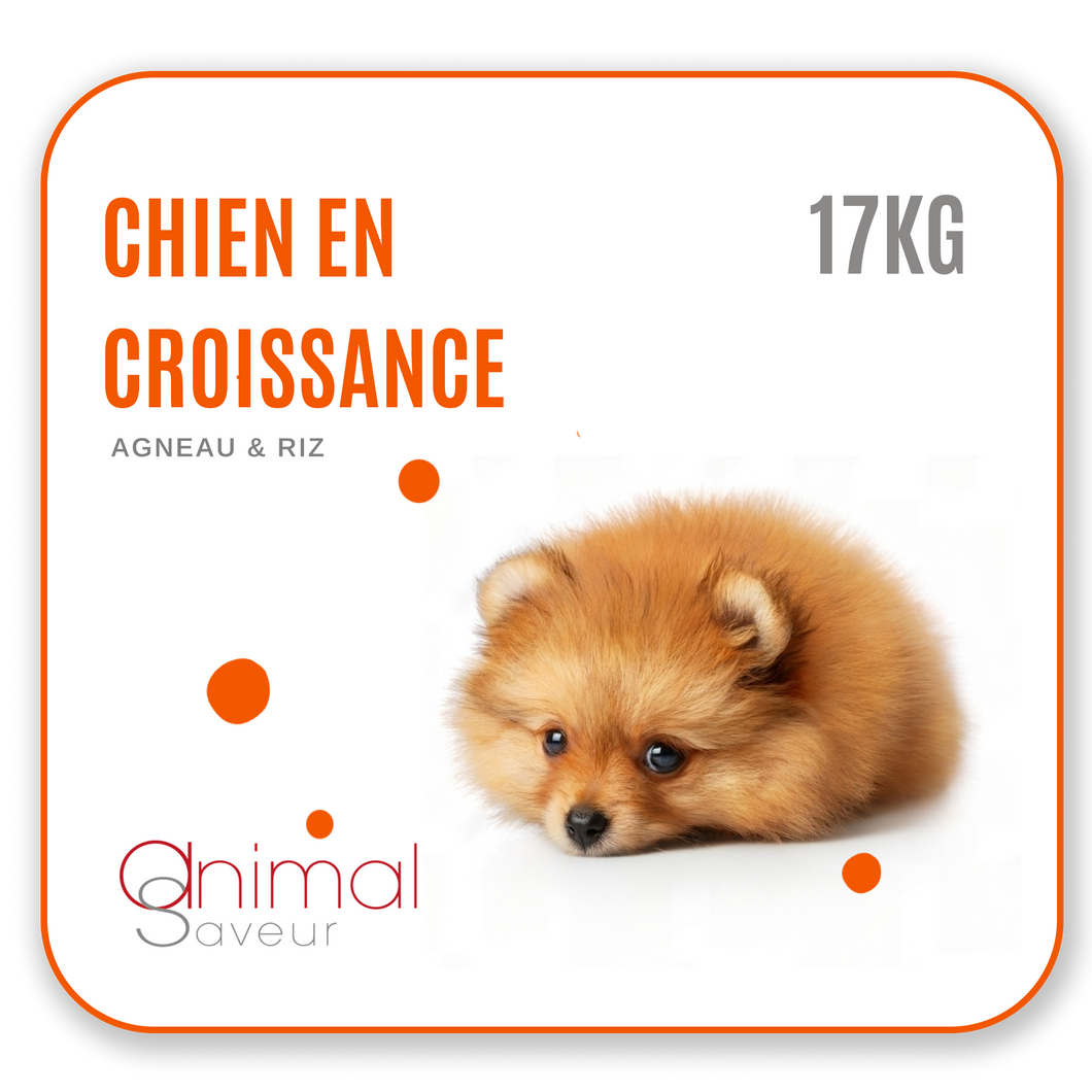 Croquettes Chien en Croissance 17 kg- Agneau / Riz