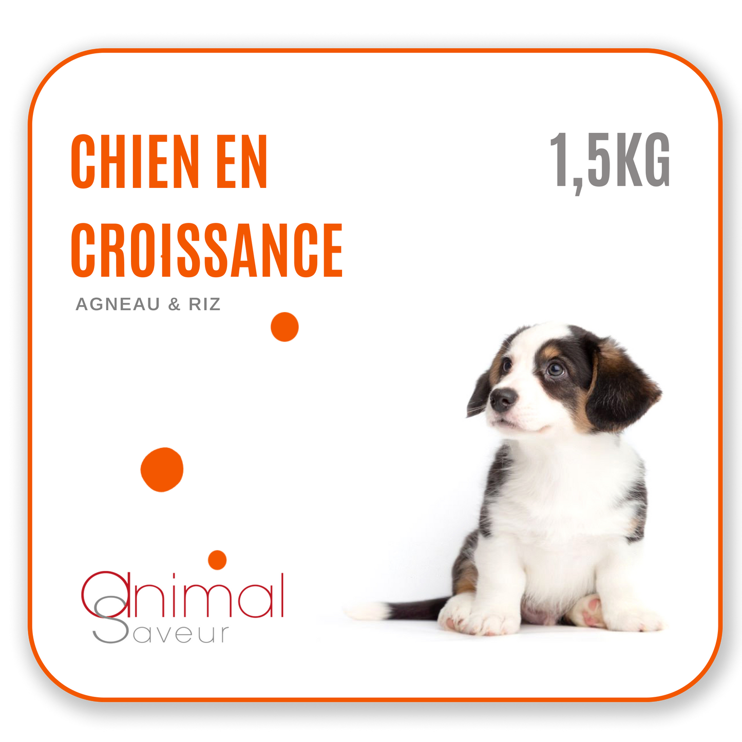 Croquettes Chien en Croissance 1,5kg échantillon à -50%