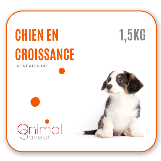 Croquettes Chien en Croissance 1,5 kg - Agneau / Riz