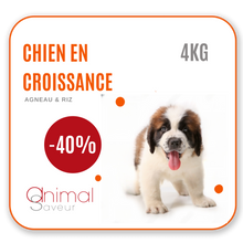 Charger l&#39;image dans la galerie, Croquettes Chien en Croissance 4kg- Agneau / Riz | Promo -40%
