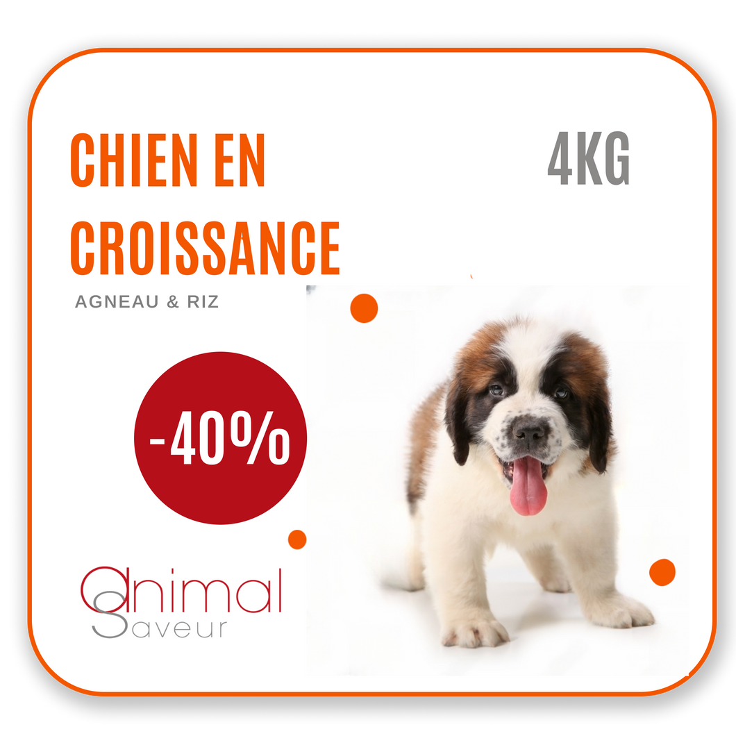 Croquettes Chien en Croissance 4kg- Agneau / Riz | Promo -40%