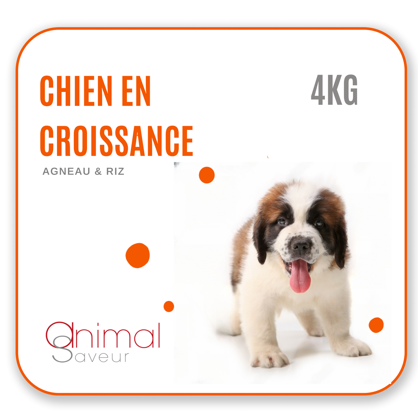 Croquettes Chien en Croissance 4kg