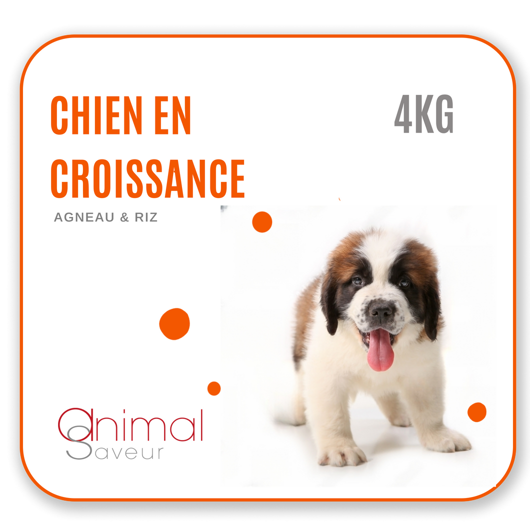 Croquettes Chien en Croissance 4kg- Agneau / Riz