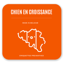 Charger l&#39;image dans la galerie, Croquettes Chien en Croissance 4kg- Agneau / Riz | Promo -40%
