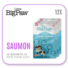 Charger l&#39;image dans la galerie, Little Big Paw Chat 85g Saumon - Carton
