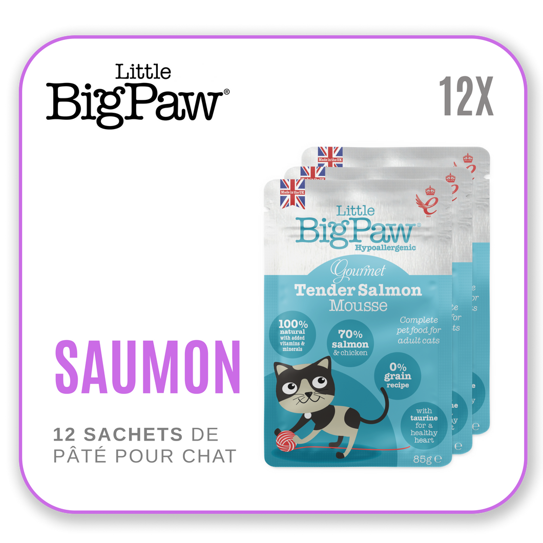 Little Big Paw Chat 85g Saumon - Carton