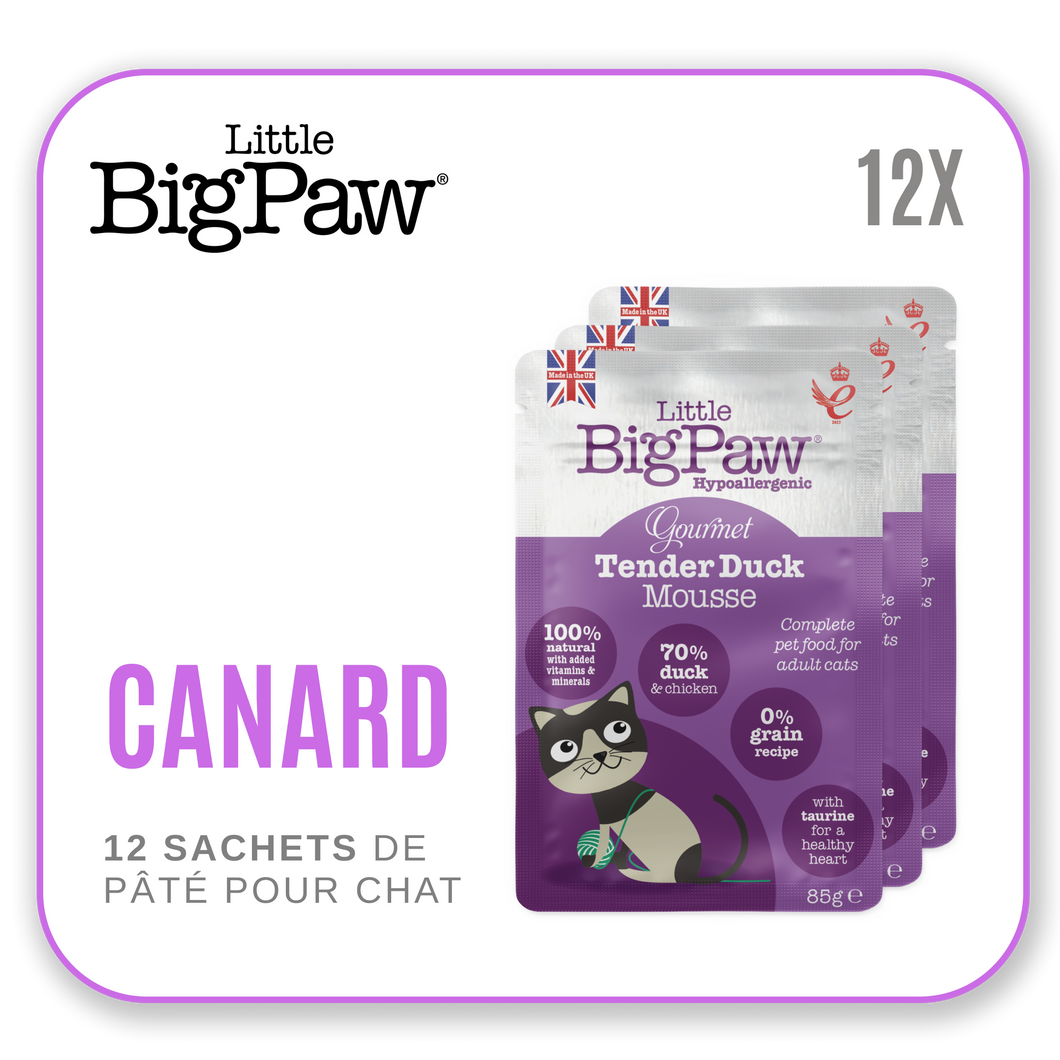 Little Big Paw Chat 85g Canard - Carton