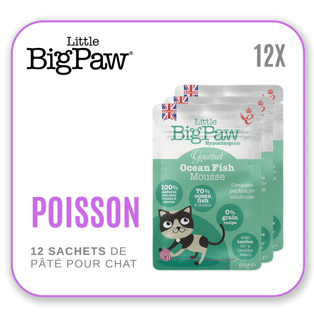 Little Big Paw Chat 85g Poissons - Carton