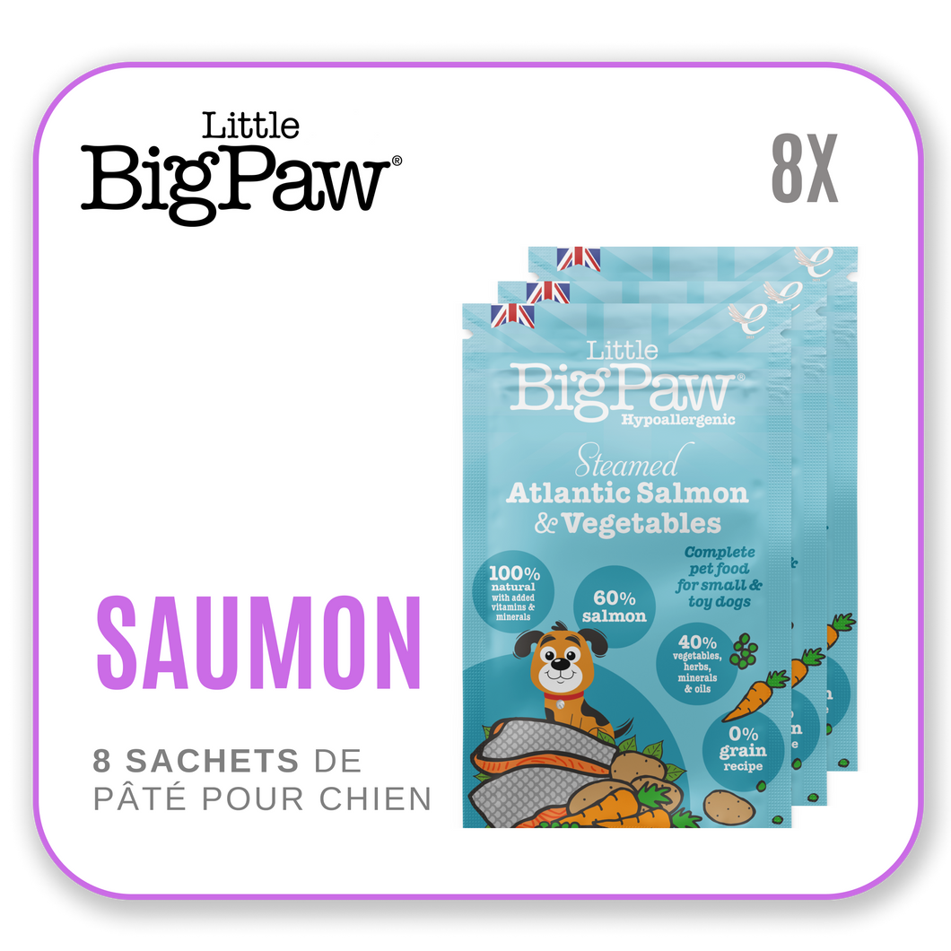 Little Big Paw Chien 150g Saumon - Carton