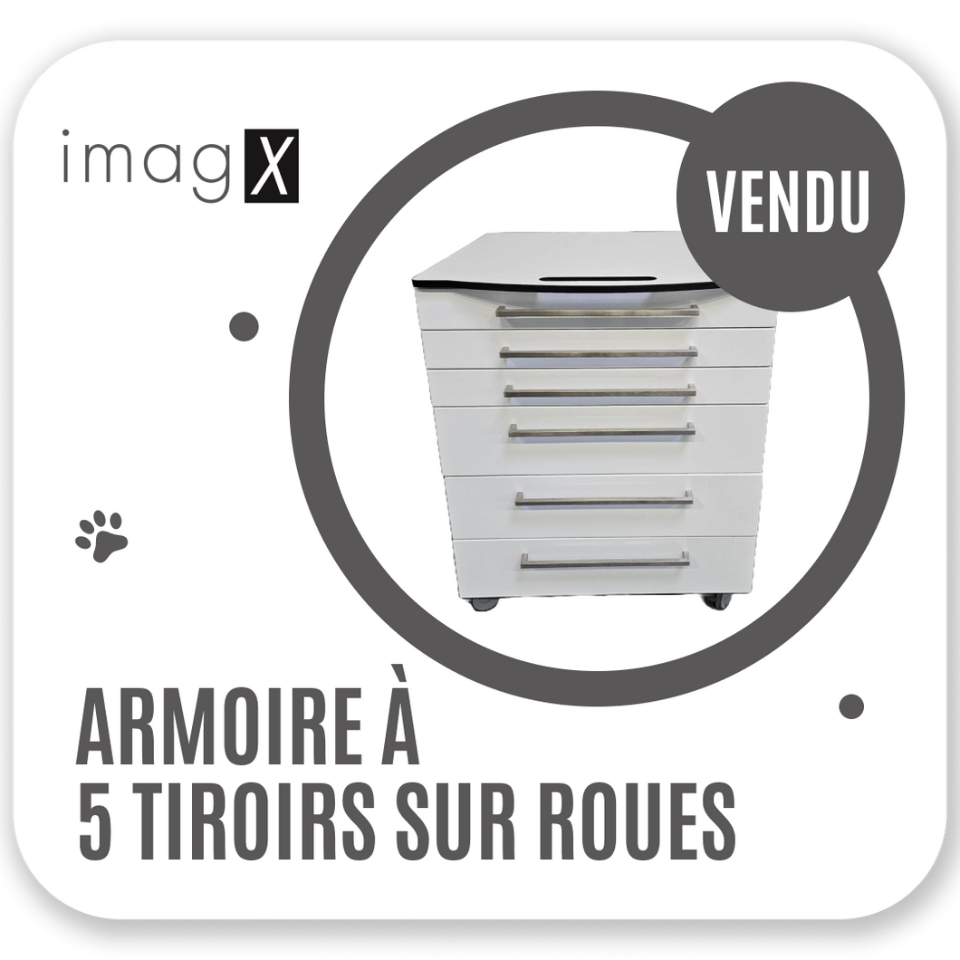 Armoire à 5 tiroirs sur roulettes