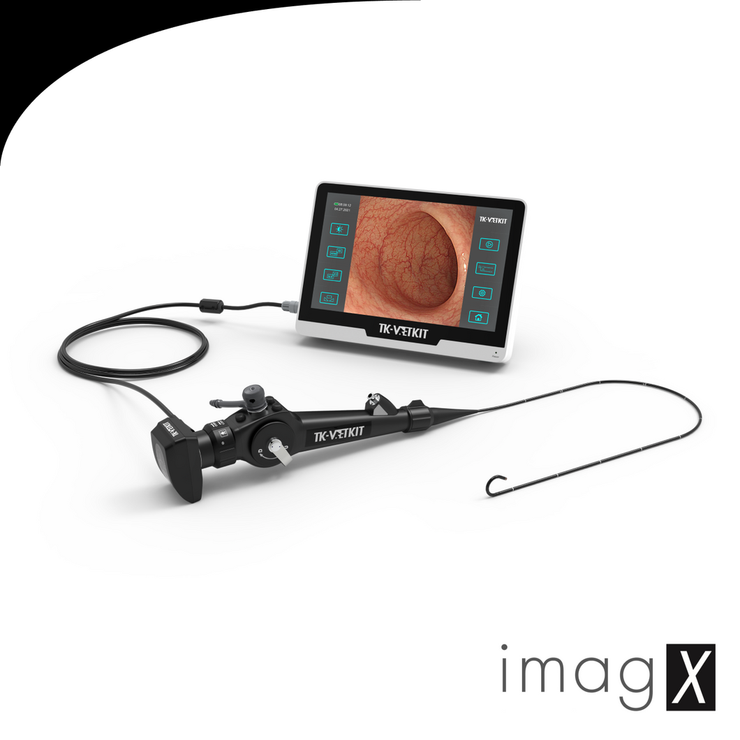 Système d'endoscope portable