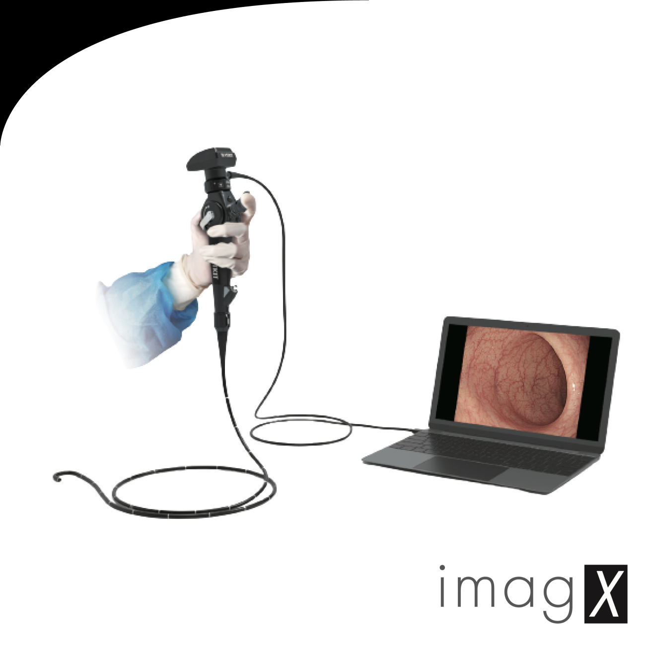 Appareil-photo numérique endoscope vétérinaire portable pour