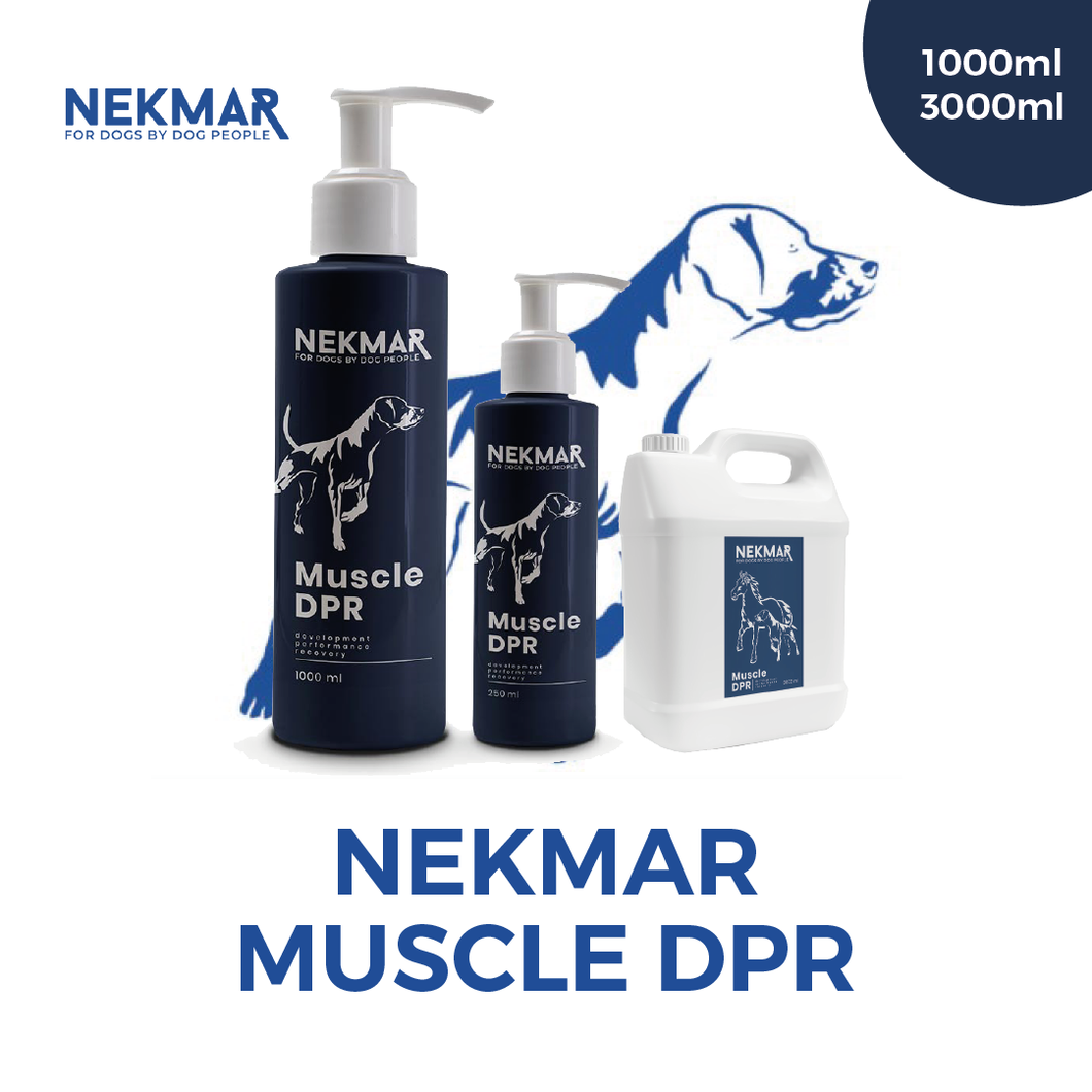 Muscle DPR | Complément alimentaire