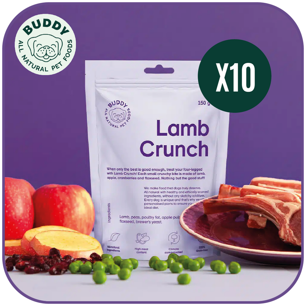 Lamb Crunch | Friandise pour chien à l'agneau | Carton de 10