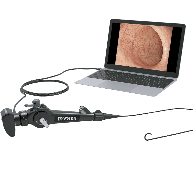 Bronchoscope | Utéroscope USB
