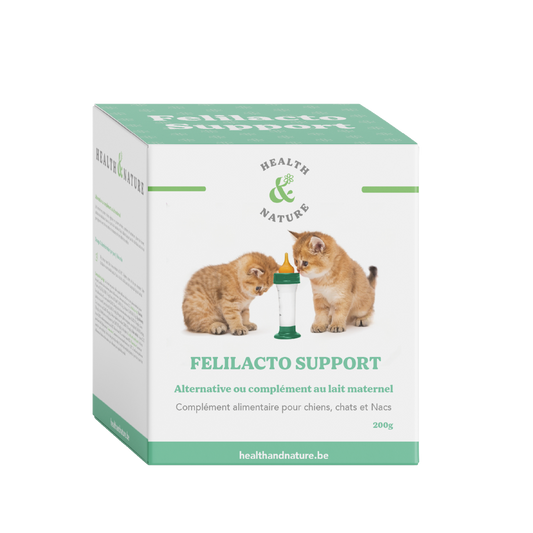 Felilacto Support 200gr