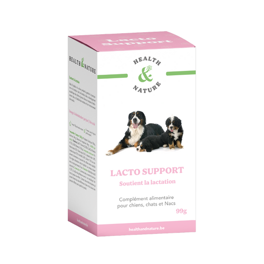 Lacto Support 60 comprimés