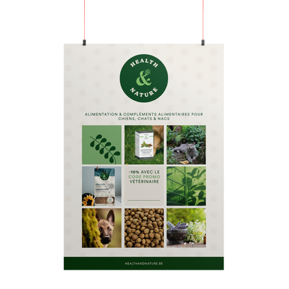 Poster promotiecode