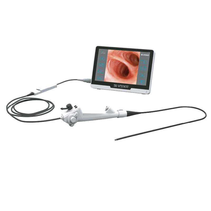 Endoscope Single Use