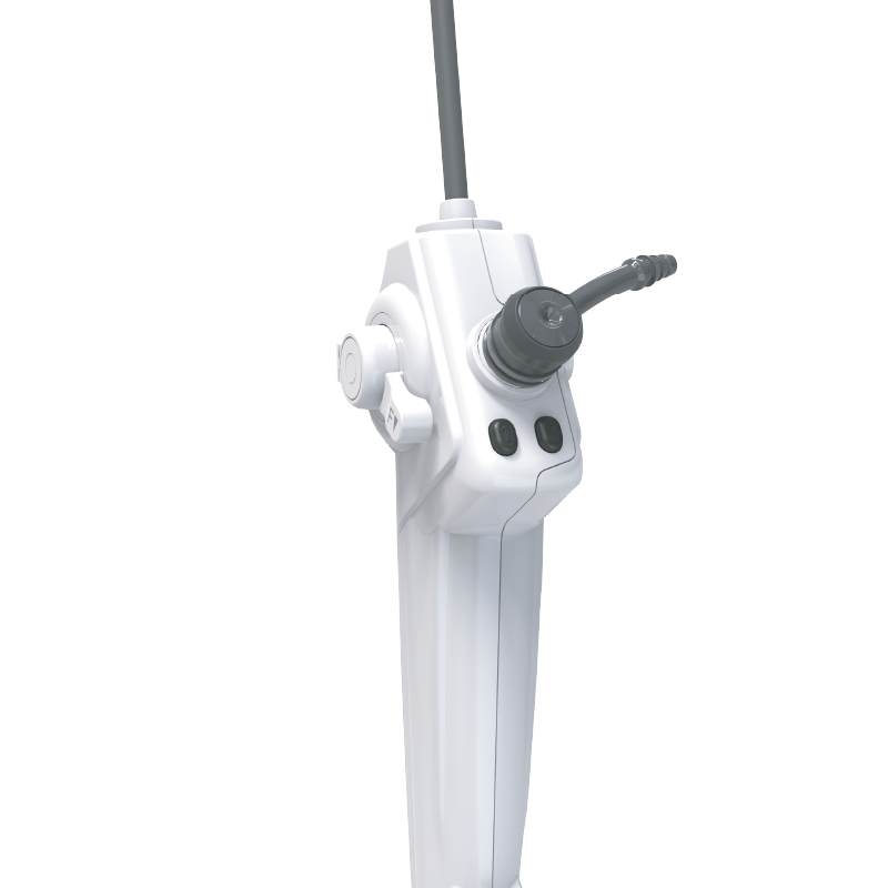 Endoscope Single Use