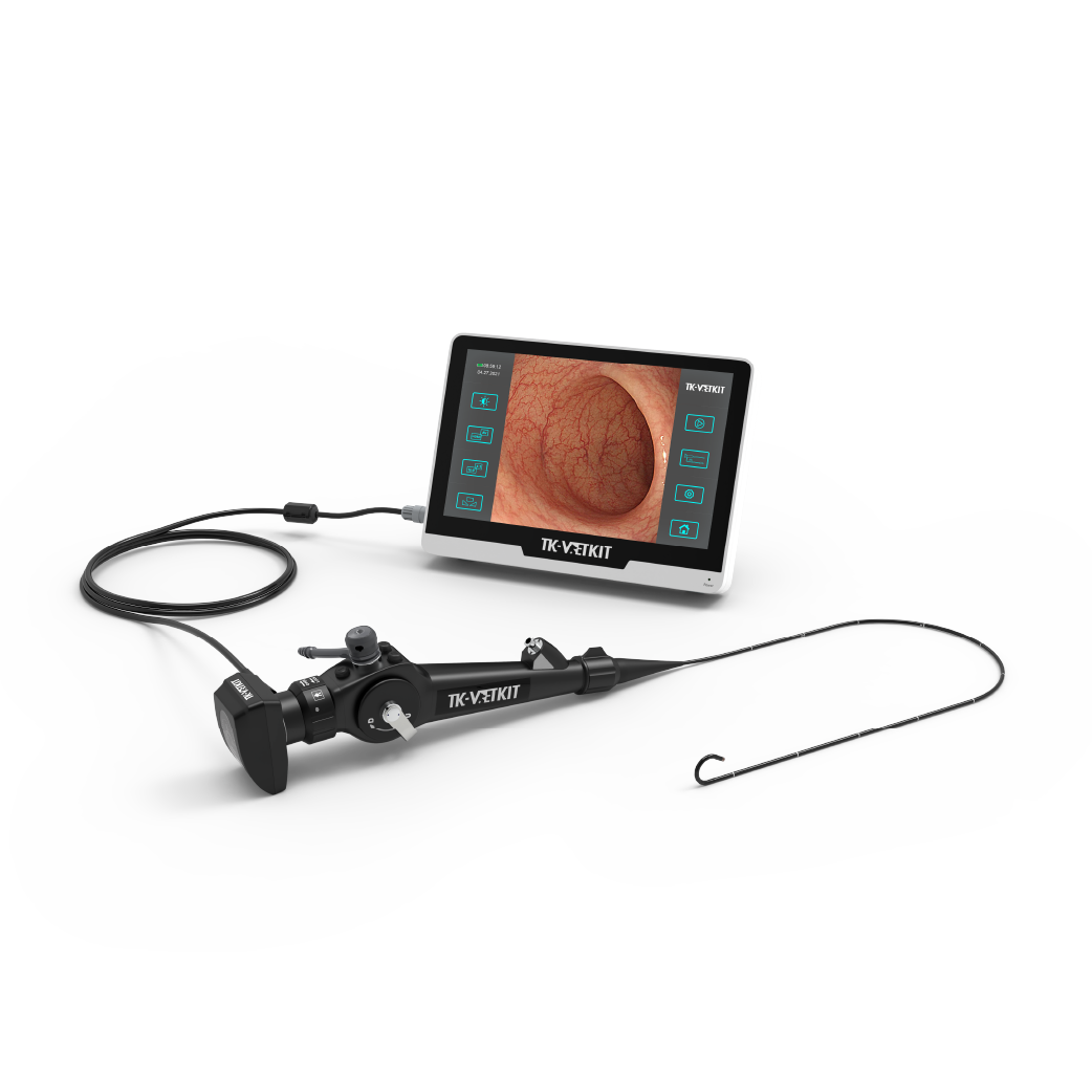 Endoscope portable USB