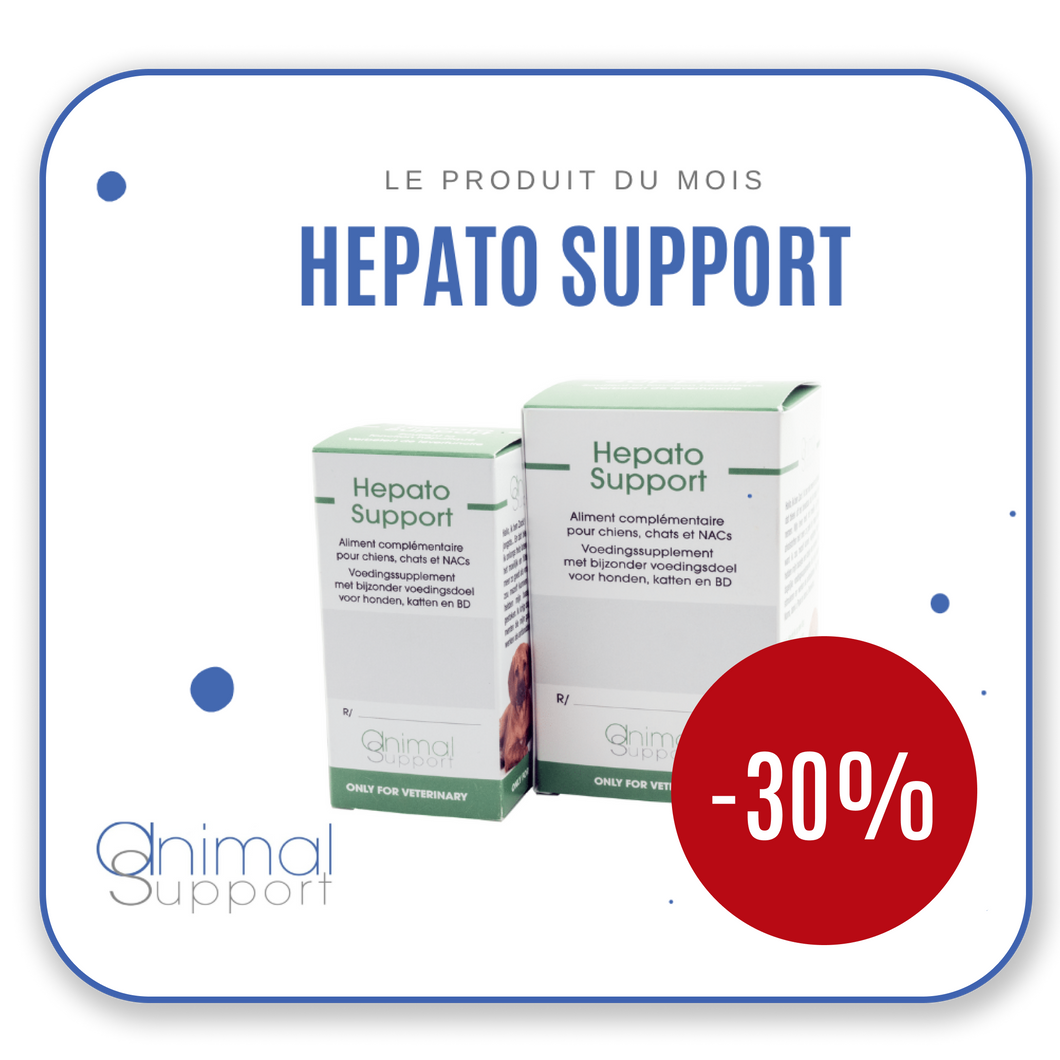 Hepato Support 60 comprimés | Promo -30%