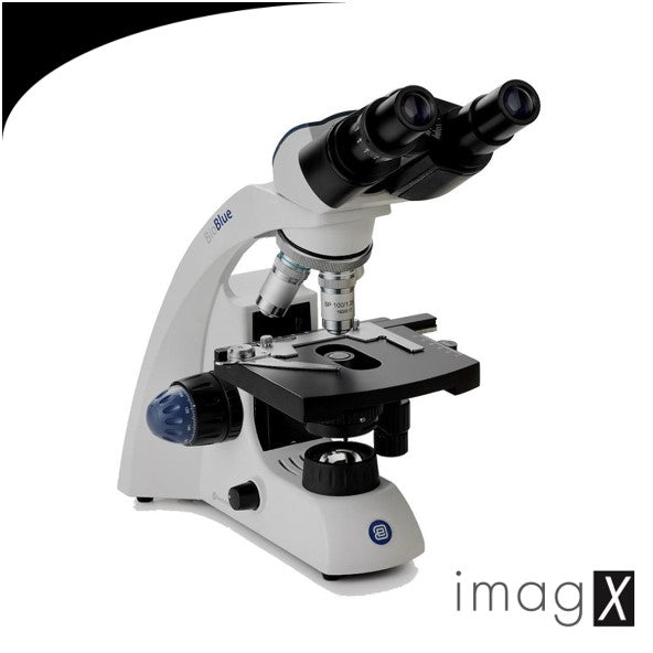 Microscope Binoculaire BioBlue
